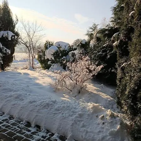 Rudy Kocur Rozana 24 * Jaroszowice