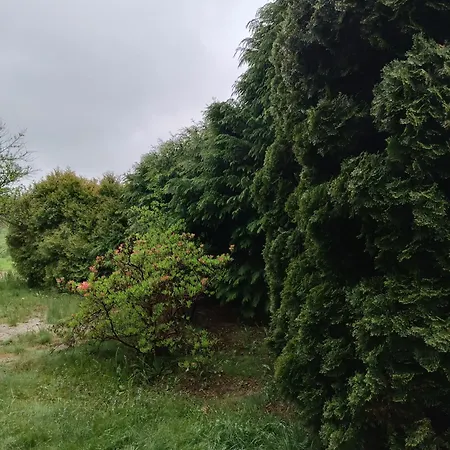 Διαμέρισμα Rudy Kocur Rozana 24 *