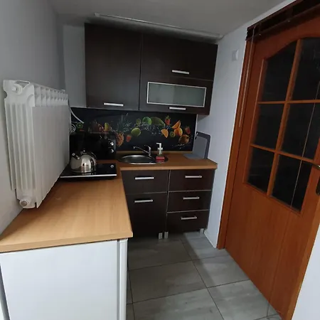Rudy Kocur Rozana 24 Jaroszowice