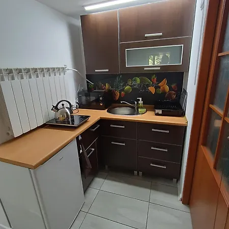 Rudy Kocur Rozana 24
