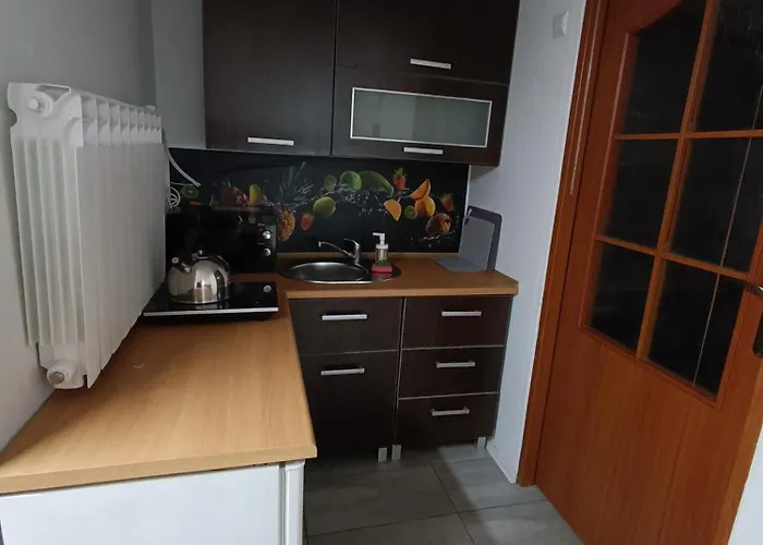 Rudy Kocur Rozana 24 Jaroszowice