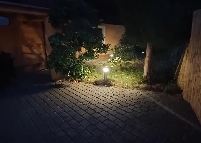 Rudy Kocur Rozana 24 * Jaroszowice